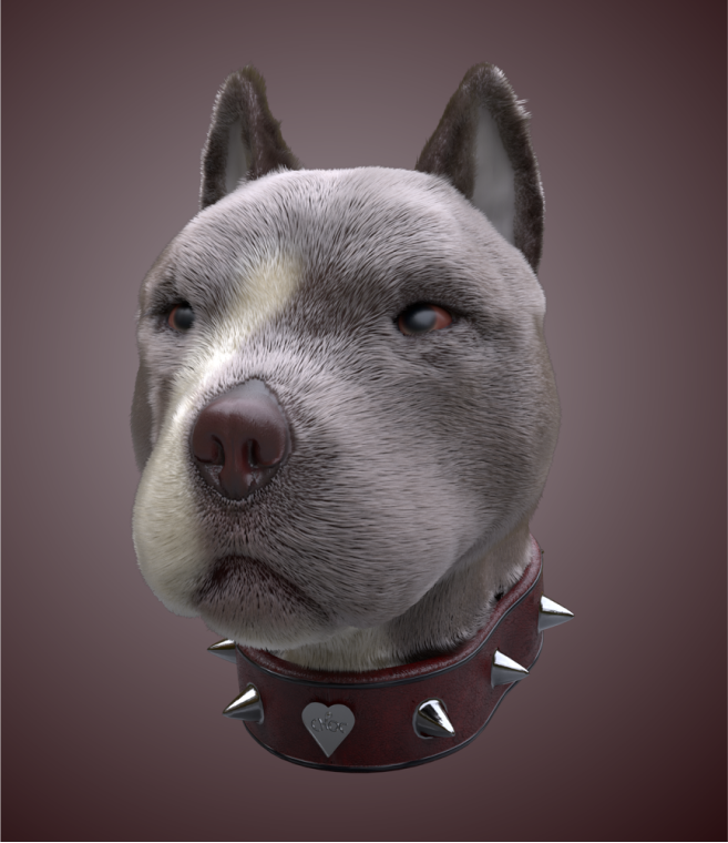 3D rendering of a pitbull