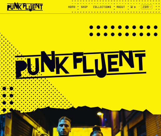 Thumbnail of the punkfluent brand design